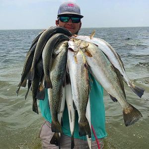 Meet your Posher, Samuel